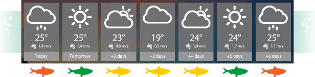 俄罗斯钓鱼模拟器