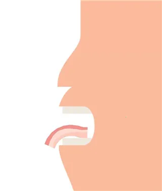 培根2025官方最新版本 培根2025官方最新版本