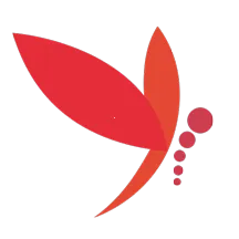 蜻蜓主播最新手机版