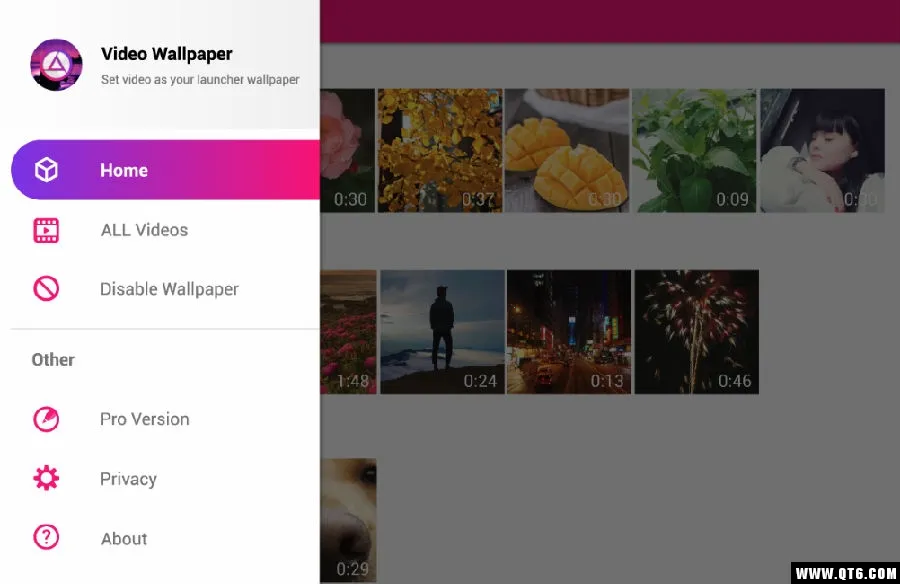 安果视频壁纸2025下载