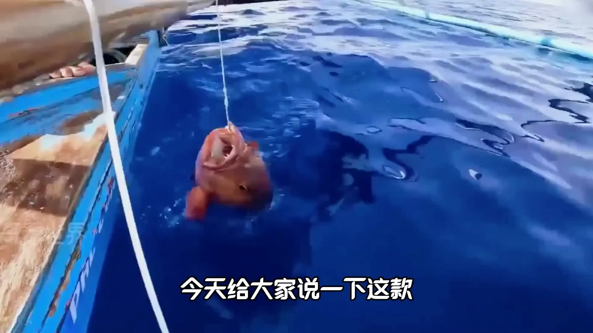 钓鱼大师兄2025官方正版截图