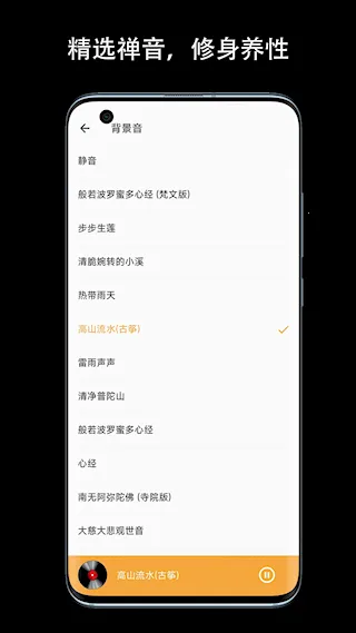 一个木鱼(解压敲击软件)截图