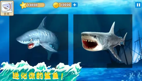 大白鲨真实模拟(大白鲨模拟游戏) 大白鲨真实模拟(大白鲨模拟游戏)