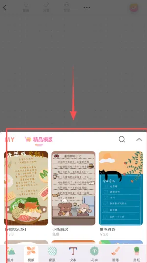 皮皮手账(电子手账软件)
