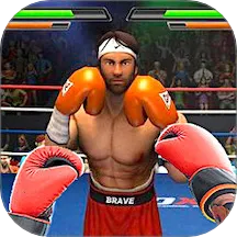 超强格斗对决2025下载