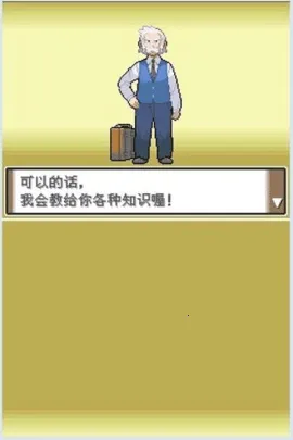 口袋妖怪白金安卓版手机版截图