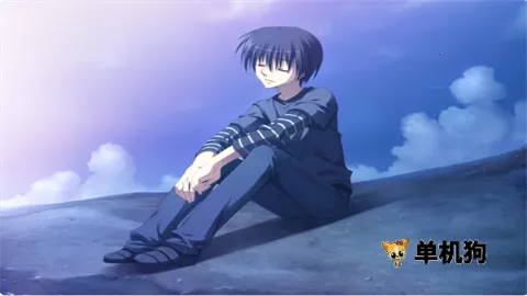 夏空彼方2025下载安装截图