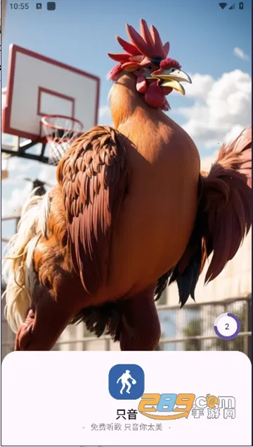 只音2025最新版本