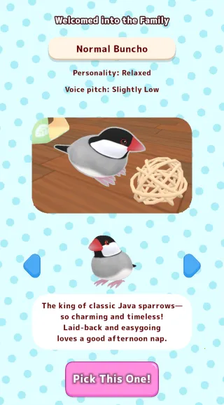 文鸟物语2025下载截图