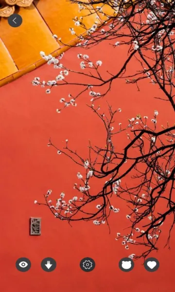 壁纸引擎Wallpaper截图