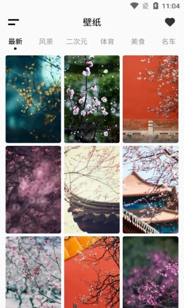 壁纸引擎Wallpaper截图