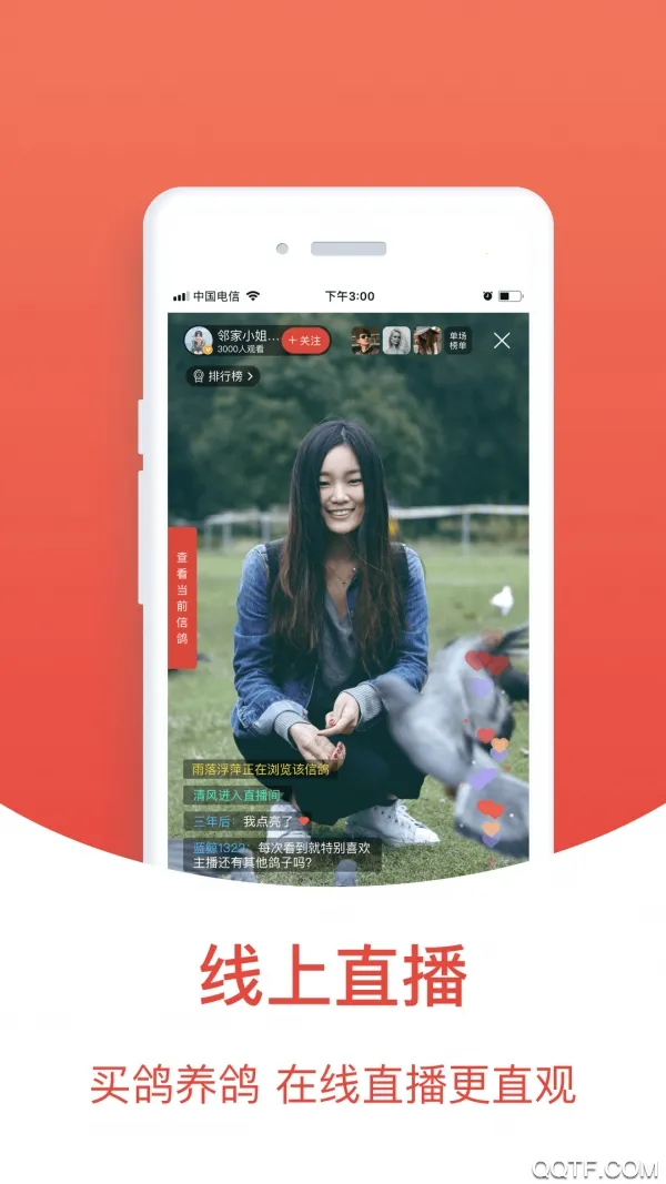 赛鸽头条搜鸽天下2025最新版本截图