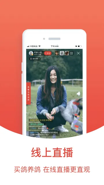 赛鸽头条搜鸽天下2025最新版本