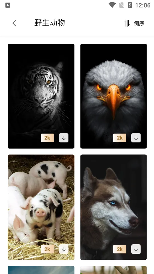 次元图库(二次元壁纸工具)截图