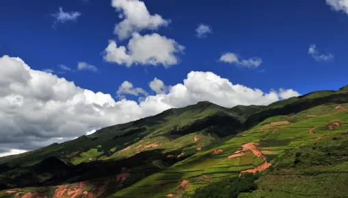 掌上凉山安卓版手机版 掌上凉山安卓版手机版