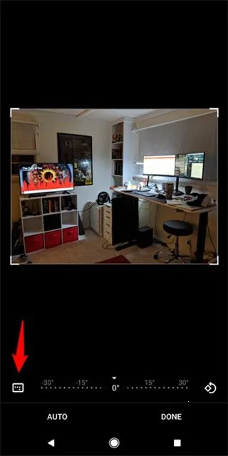 谷歌相册安卓版手机版