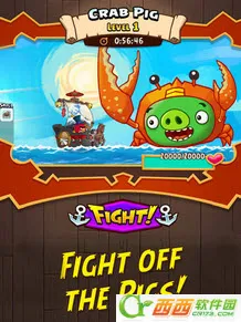 愤怒的小鸟战斗(小鸟消除战斗游戏)截图