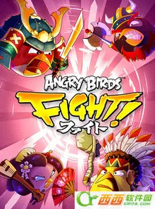 愤怒的小鸟战斗(小鸟消除战斗游戏)截图