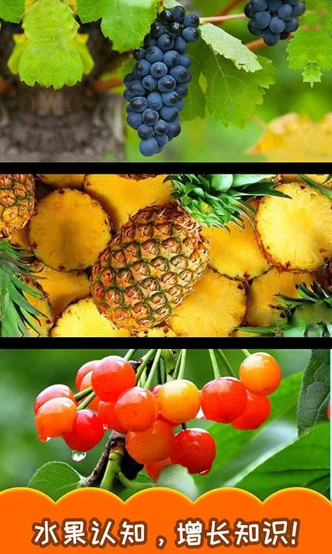 宝宝切水果2026官方正版截图