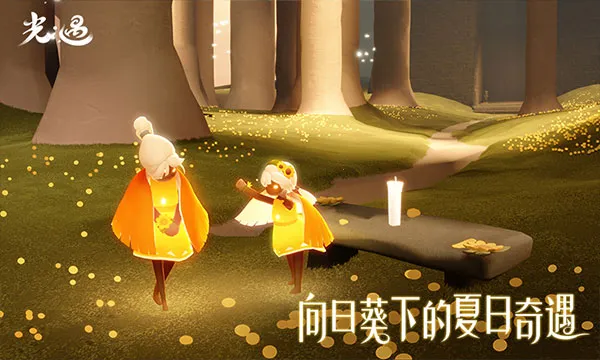 光遇北觅全物品截图