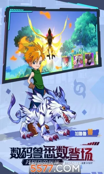 宠物集结2026官方最新版本截图