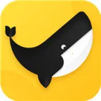 ����Ӱ��v1.1.37 �ٷ�����