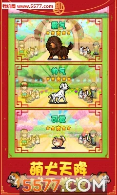 发现狗狗乐园截图