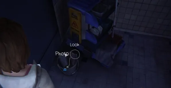 Life is Strange2026下载安装