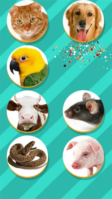 PetTranslator动物语言翻译器截图