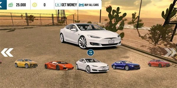 手动挡停车场特斯拉模组截图