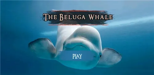 白鲸模拟器2026最新版本截图