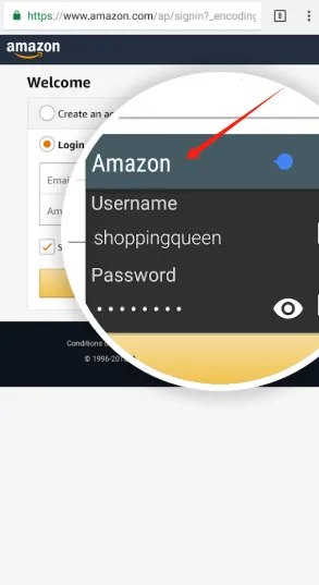 Password Safe安卓版手机版 Password Safe安卓版手机版