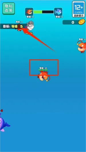 大鱼小鱼吞噬2026官方正版 大鱼小鱼吞噬2026官方正版