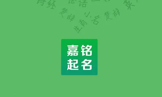 嘉铭宝宝起名取名