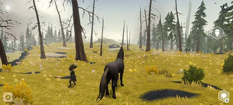 荒野2026下载安装