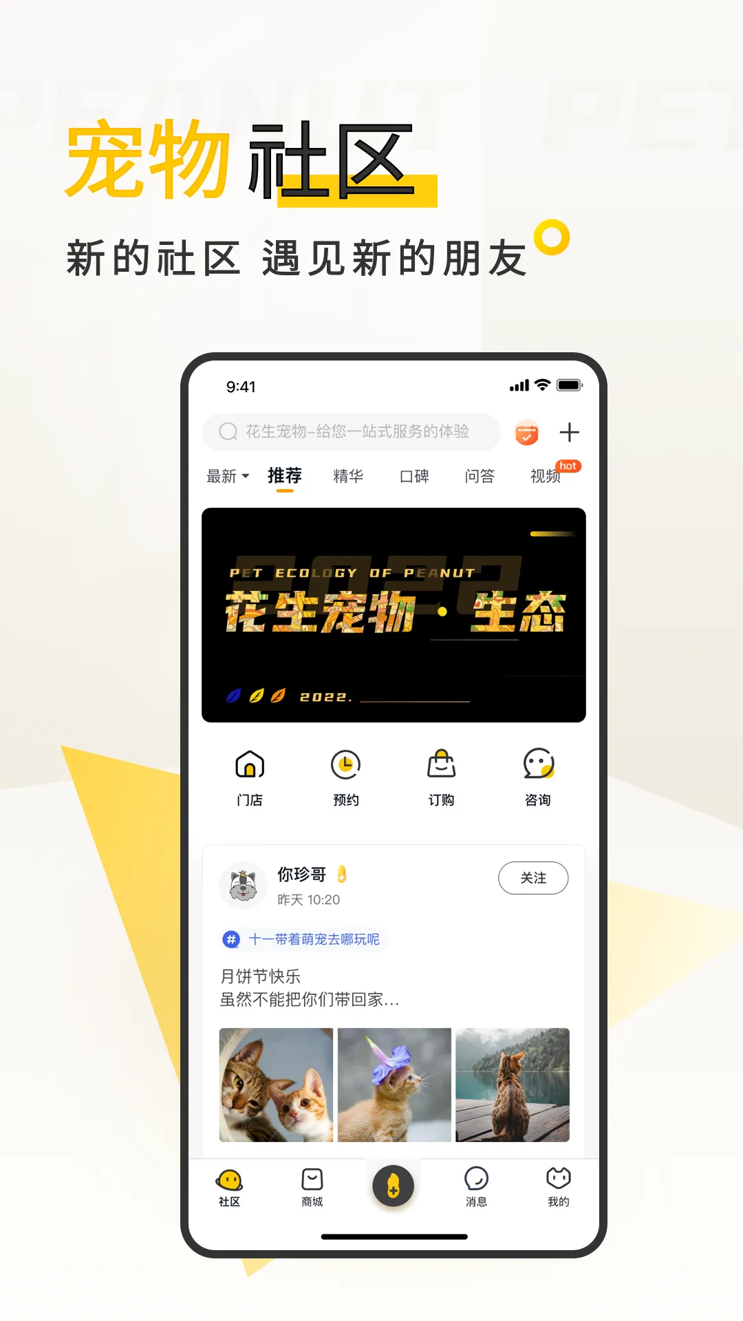 花生宠物2026下载安装截图