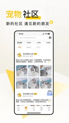 花生宠物2026下载安装截图