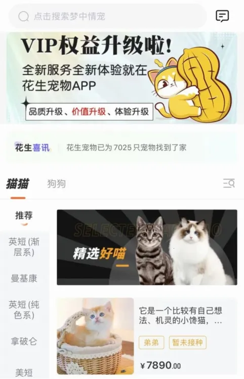 花生宠物2026下载安装 花生宠物2026下载安装