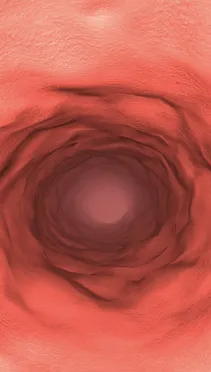 ����̽��