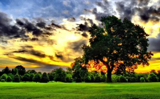 海映相机安卓版手机版