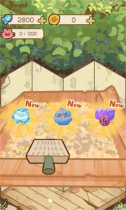 猫屋猫屎香安卓版手机版截图