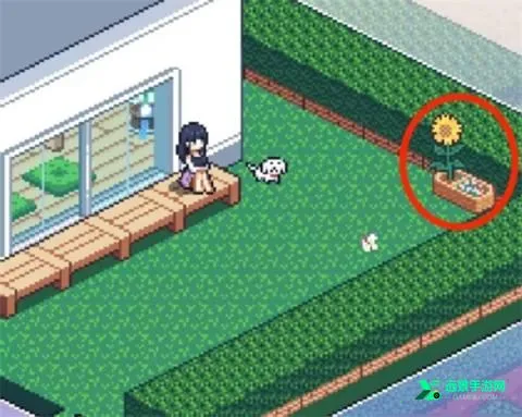 寻找夏日的宝物2026下载安装 寻找夏日的宝物2026下载安装