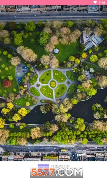 清风音乐2026最新版本截图