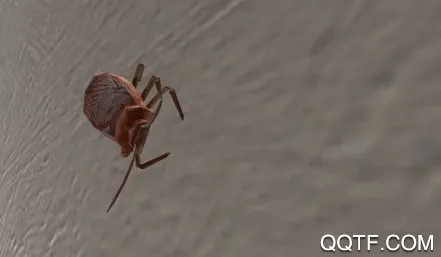 蟑螂模拟器2026最新版本 蟑螂模拟器2026最新版本