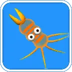 Evolution of Species