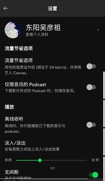 声破天Spotify截图