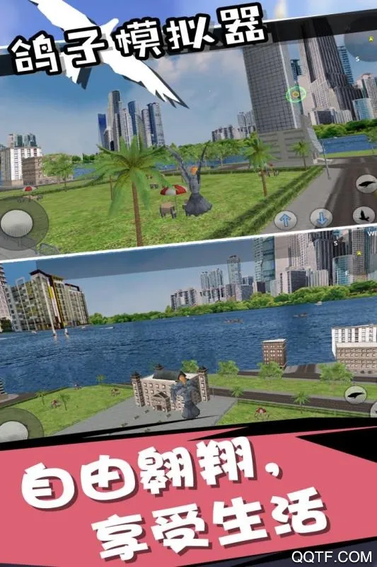 鸽子模拟器截图
