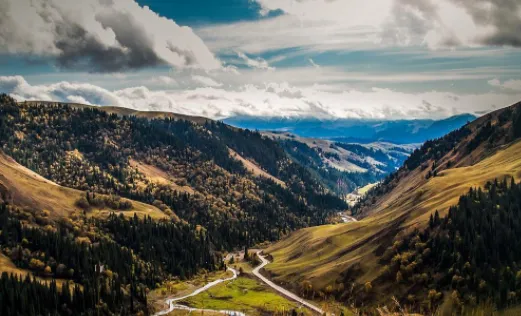 忽忽小说 忽忽小说