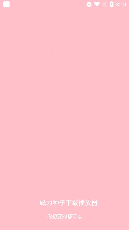 磁力种子播放器2026最新版本截图