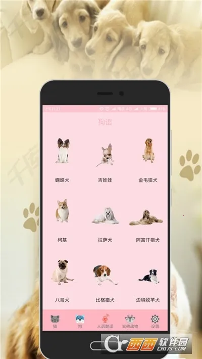 狗语翻译器2026下载截图